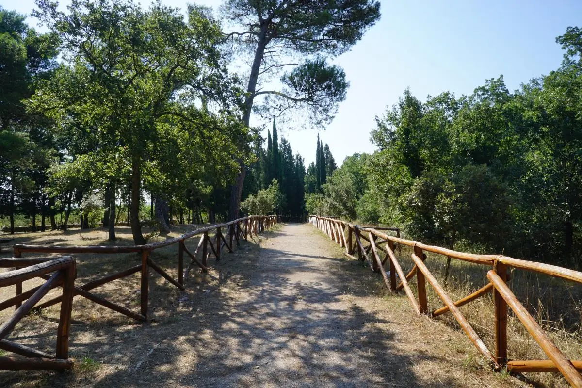 Experience Cover Image